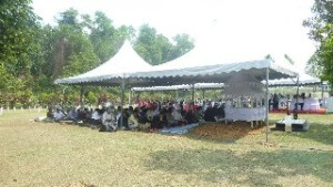 dato grave